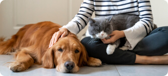 We make you and your pets happy during your stay