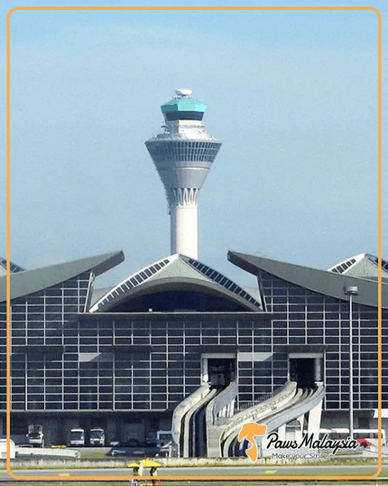 猫1匹がマレーシアに入国