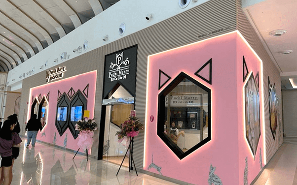 Puchi Marry Cat Cafe