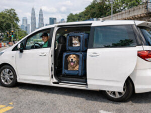 ペットタクシー