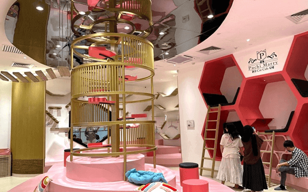 Puchi Marry Cat Cafe